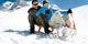 Winterfreuden und Schneespaß garantiert im Stock***** resort
