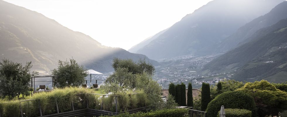 Die Erika VIP Wochen im Frühling