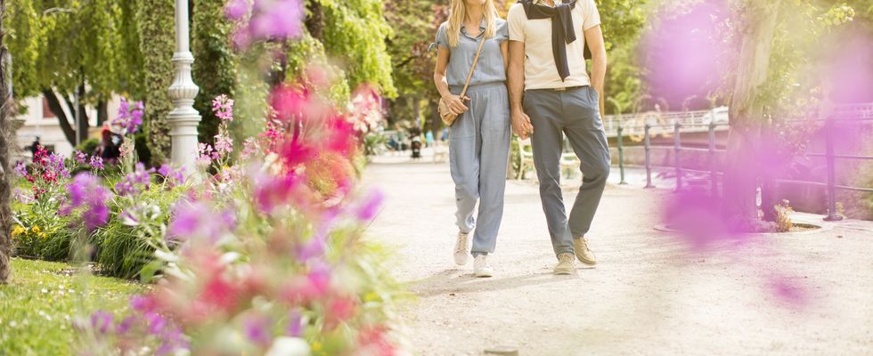 Blütezeit - Frühlingszeit