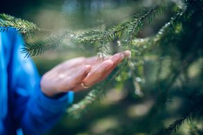 Sinne.Seele.Krafttage – ein Natur-Retreat für MICH März 2027