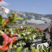 Frühlingserwachen in den Bergen (7+1 Tag gratis 19.06. bis 12.07. 2026)