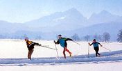 Winter-Arrangement für Langläufer 5 Tage