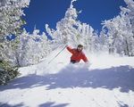 Learn to Dream | 3 Nights