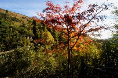 Goldener Herbst - 6 Nächte zahlen, 7 bleiben