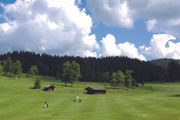 Golf Special 2012
