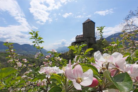 4 giorni al prezzo di 3 - Pacchetto primaverile