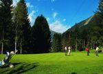 Want to Play Golf?