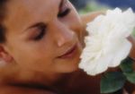 Ayurveda Wellness Week