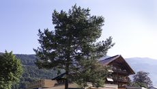 Susanne Kaufmann Spa