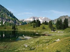 Bregenzerwald³ (Wandern, Genuss und Wellness)