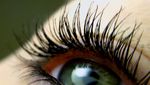 Wimpern und Brauen färben - 