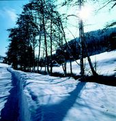 Winter-Wanderwoche 2010