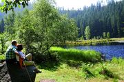 Frühlingserwachen  im Tonbachtal--Vogelgezwitscher, das erste zarte Grün, wärmende Sonne--Erholung pur für Körper und Geist--4 Relax- u.Geniessertage mit Verwöhnpensionim Südbalkonzimmer p.Person ab 320.00 EU