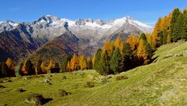 Im Herbst zeigt sich das Ahrntal von seiner schönsten Seite, wenn morgens das Tal noch im Nebelmeer versinkt und die Sonne über die Berge steigt. Erleben Sie bunte Herbsttage der besonderen Art inmitten einer gesunden Natur, einer urigen Bergwelt und inmitten einem der schönsten Täler Südtirols - im Ahrntal.