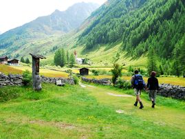 Ab Mitte Mai im Ahrntal, wenn die Heuernte bereits in vollem Gang ist, veranstaltet die Natur in den Höhenlagen jedes Jahr ihr eigenes Schauspiel. Steigen Sie hinauf, um in den Naturgärten der Ahrntaler Berge auf leichten Wanderwegen die überwältigende Alpenflora zu bestaunen.