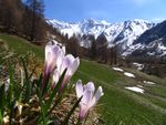 Pausa di benessere in primavera
