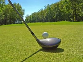 So you have decided to take up golfing. We offer a special deal just for beginners, which includes a basic course taking you to all the way up to the proficiency level certificate.