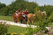 Sonnelino Special-Weekends - 4 Tage | (08.05. - 04.06. / 04.09. - 17.09.)