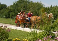 4 Tage Sonnelino Inklusiv-Pension(von Sonntag bis Donnerstag)