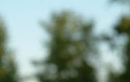 Short Game Academy – Train like a Pro! - Driving is for show - putting is for money!