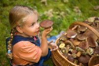 Prelibatezze del bosco e dolcezze da gustare.Escursioni, buon cibo e relax