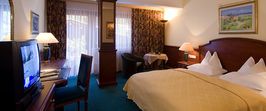 Double Room "Standard"