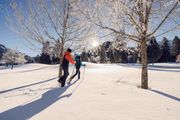 Winterwandern & Wellness | 4 Nächte