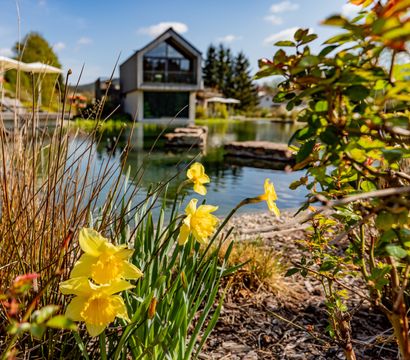 Angebot: Pfalzblick Special Deal - PFALZBLICK WALD SPA RESORT