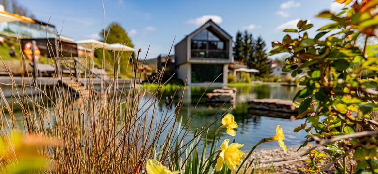 PFALZBLICK WALD SPA RESORT: Pfalzblick Special Deal