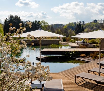 Angebot: Pfälzer Auszeit - PFALZBLICK WALD SPA RESORT
