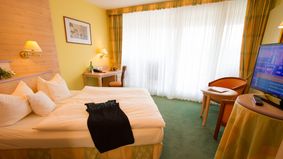 Doppelzimmer Napoleonsfels 3/6 - PFALZBLICK WALD SPA RESORT