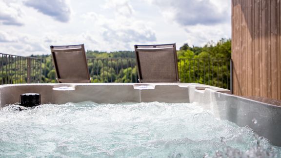 Penthouse-Suite Traubennestl 7/7 - PFALZBLICK WALD SPA RESORT