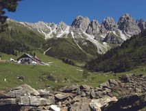 Nature Watch Tage | 7 II
