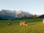 Vacanze estive nella valle di Pillersee