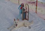 Winterurlaub in der "Ferienwohnung", vielleicht mit Hund!