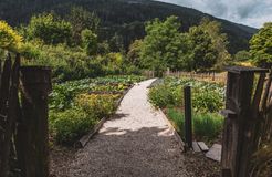 Tauber's Bio-Vitalhotel: Unser Gemüse-Garten - Tauber's Bio Vitalhotel, St. Sigmund, Pustertal, Trentino-Südtirol, Italien