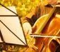 Konzert-Wochenenden.