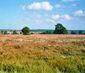 Wanderhit Lüneburger Heide