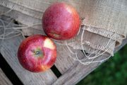 Gesundheits- und Ernährungsberatung - mit erstem Hildegard-Nothelfer