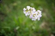 Naturheilpraxis: Gesundheits-Check - Medizinische Untersuchung und (Moor-)Gesundheitscheck