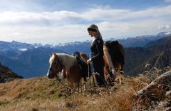 BIO HOTEL Anna: Pferde - Landhotel Anna & Reiterhof Vill, Schlanders, Vinschgau, Trentino-Südtirol, Italien