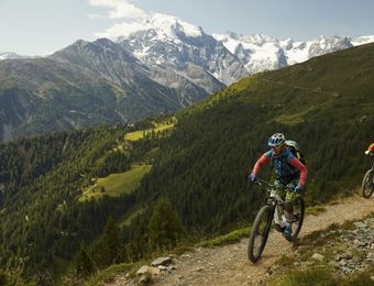 Top Angebot: Mit dem E-Bike durch den Vinschgau - Landhotel Anna & Reiterhof Vill