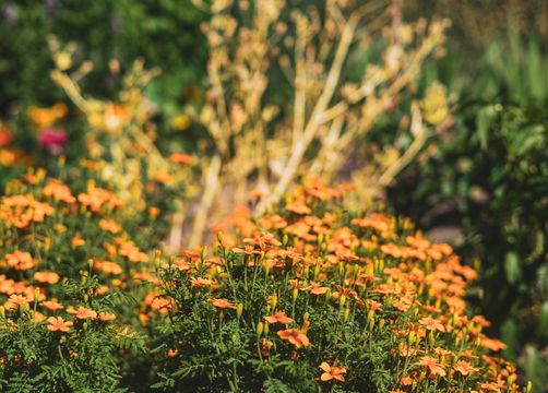 BIO HOTEL Landhotel Anna: Inmitten Südtiroler Natur - Landhotel Anna & Reiterhof Vill, Schlanders, Vinschgau, Trentino-Südtirol, Italien