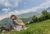 Traumblick Bergpicknick