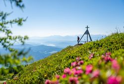 BergFrühling