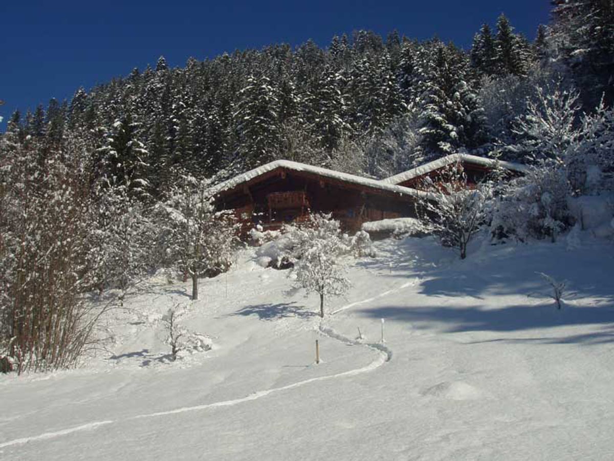 Ferienhaus Luxus-Chalet Mühlermoos (227677), Ramsau im Zillertal, Mayrhofen, Tirol, Österreich, Bild 20