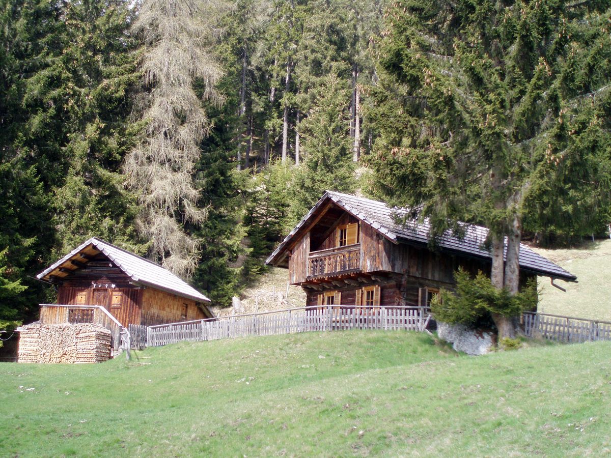 Ferienhaus Enzianhütte (100559), Irschen, Oberdrautal, Kärnten, Österreich, Bild 9