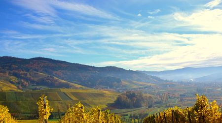 Kulinarische Weinreise