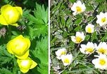 Endlich Berghof! Endlich Frühling!