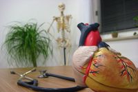 Sanitas Per Motum - Gesundheit durch Bewegung 